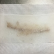 レンジでカリッカリ骨せんべい レシピ 作り方 By Marochan 楽天レシピ レンジでカリッカリ骨せんべい レシピ 作り方 By Marochan 楽天レシピ